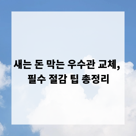 새는 돈 막는 우수관 교체, 필수 절감 팁 총정리