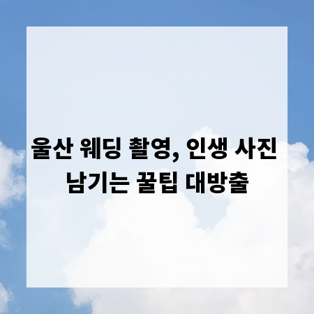 울산 웨딩 촬영, 인생 사진 남기는 꿀팁 대방출