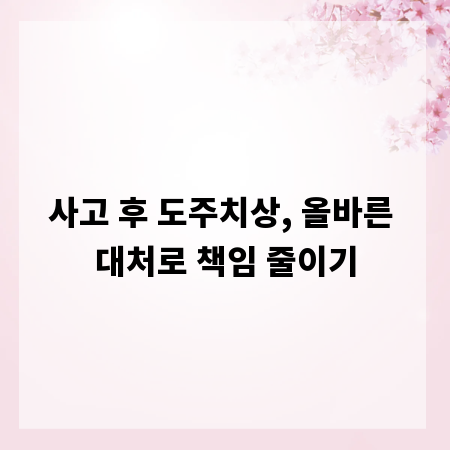 사고 후 도주치상, 올바른 대처로 책임 줄이기