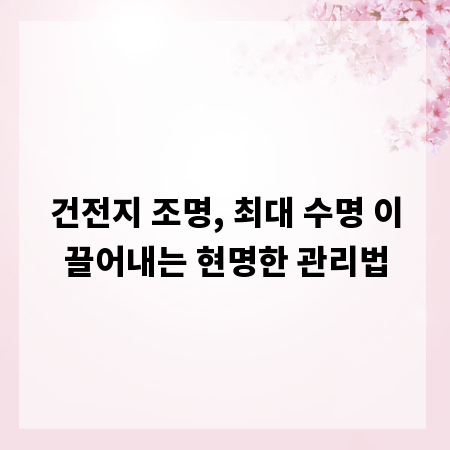 건전지 조명, 최대 수명 이끌어내는 현명한 관리법