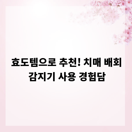 효도템으로 추천! 치매 배회 감지기 사용 경험담