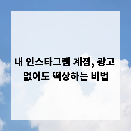 내 인스타그램 계정, 광고 없이도 떡상하는 비법