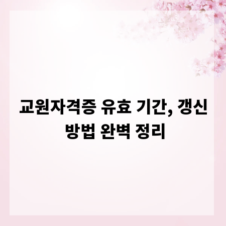 교원자격증 유효 기간, 갱신 방법 완벽 정리