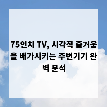 75인치 TV, 시각적 즐거움을 배가시키는 주변기기 완벽 분석