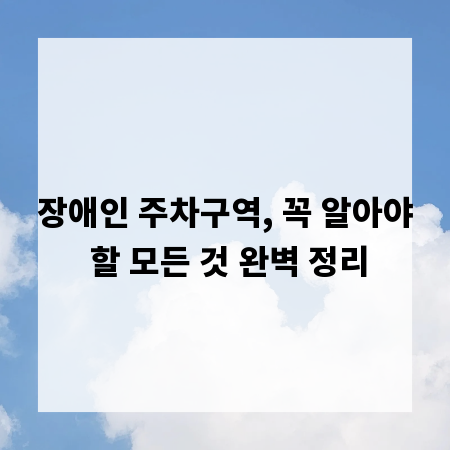 장애인 주차구역, 꼭 알아야 할 모든 것 완벽 정리