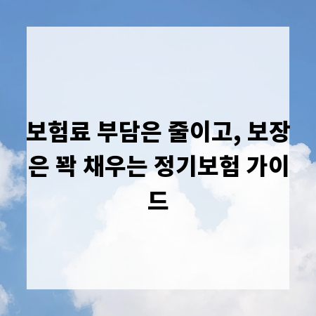 보험료 부담은 줄이고, 보장은 꽉 채우는 정기보험 가이드
