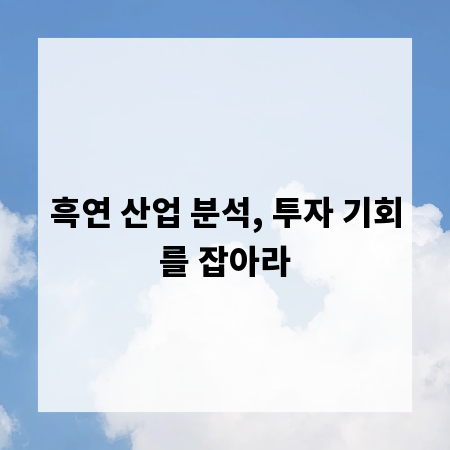 흑연 산업 분석, 투자 기회를 잡아라