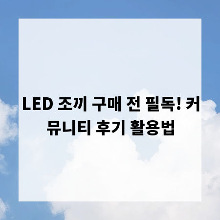 LED 조끼 구매 전 필독! 커뮤니티 후기 활용법