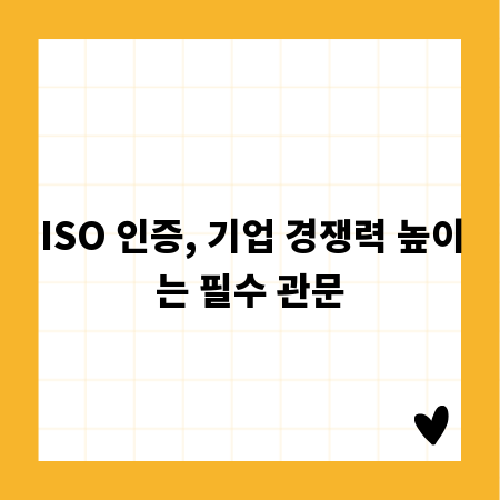 고화질 사진, 용량 걱정 끝! 스마트한 관리법