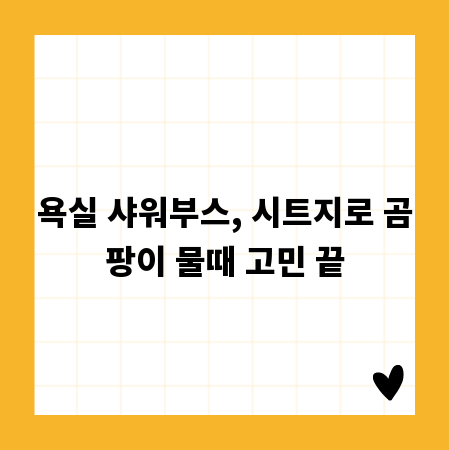 욕실 샤워부스, 시트지로 곰팡이 물때 고민 끝