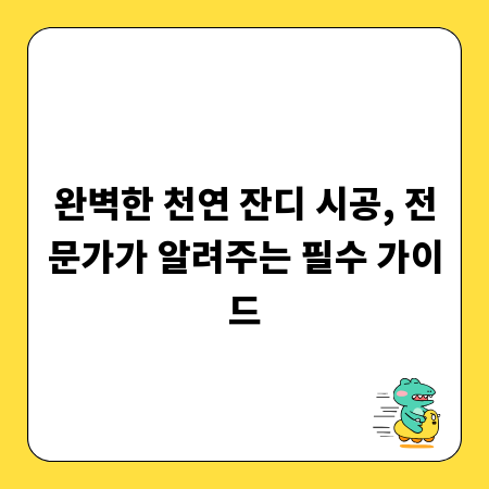 완벽한 천연 잔디 시공, 전문가가 알려주는 필수 가이드