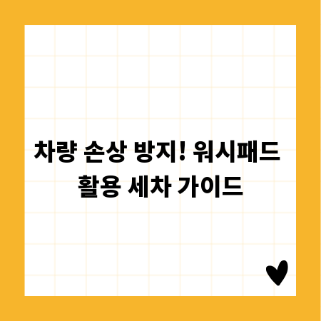 차량 손상 방지! 워시패드 활용 세차 가이드