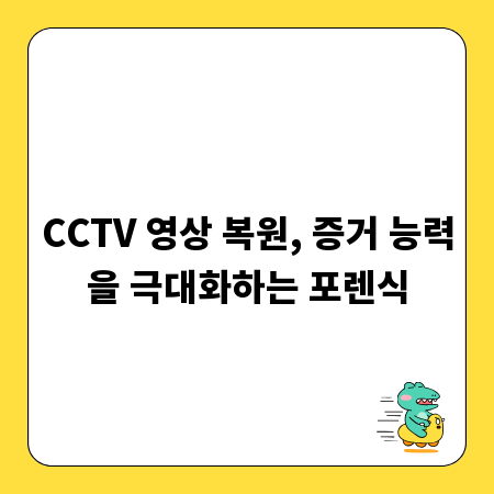 손수레 바퀴, 안전하게 관리하는 모든 것