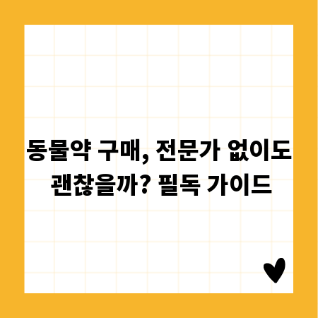 서울에서 꿈을 이루는 법: 취업 준비생 필독 정보