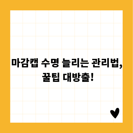 마감캡 수명 늘리는 관리법, 꿀팁 대방출!