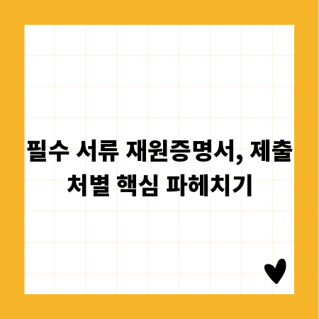 필수 서류 재원증명서, 제출처별 핵심 파헤치기