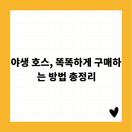야생 호스, 똑똑하게 구매하는 방법 총정리