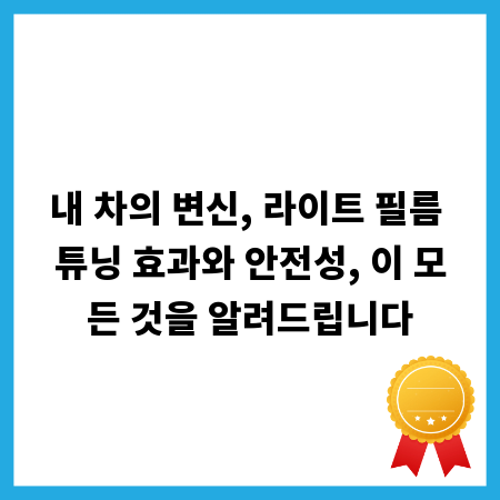 내 차의 변신, 라이트 필름 튜닝 효과와 안전성, 이 모든 것을 알려드립니다