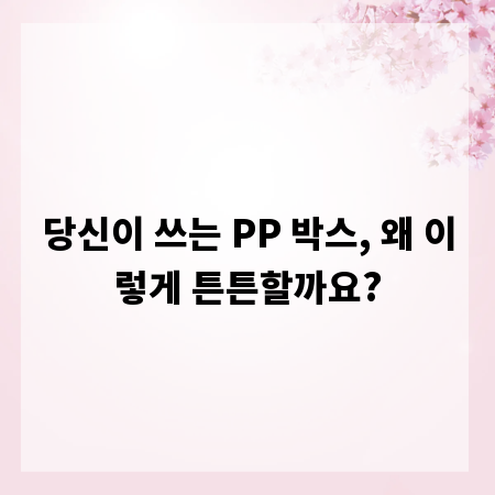 당신이 쓰는 PP 박스, 왜 이렇게 튼튼할까요?