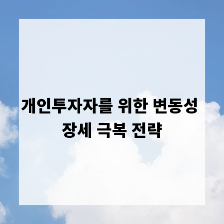 개인투자자를 위한 변동성 장세 극복 전략