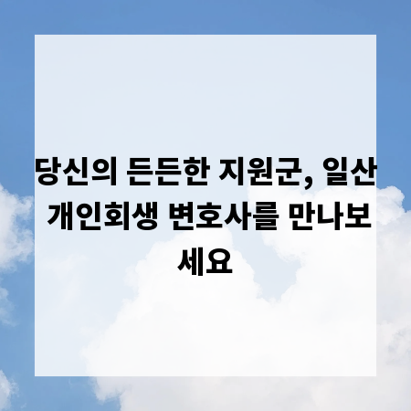 당신의 든든한 지원군, 일산 개인회생 변호사를 만나보세요