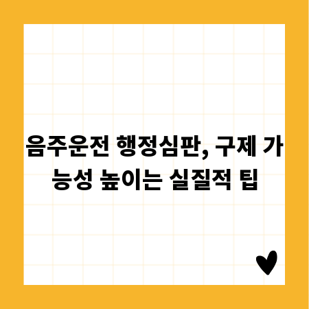음주운전 행정심판, 구제 가능성 높이는 실질적 팁