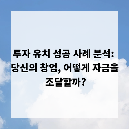 투자 유치 성공 사례 분석: 당신의 창업, 어떻게 자금을 조달할까?