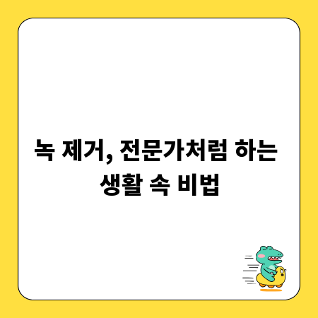 녹 제거, 전문가처럼 하는 생활 속 비법