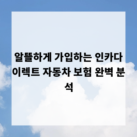 알뜰하게 가입하는 인카다이렉트 자동차 보험 완벽 분석