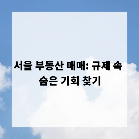 서울 부동산 매매: 규제 속 숨은 기회 찾기
