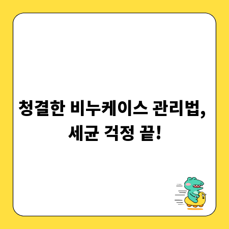 청결한 비누케이스 관리법, 세균 걱정 끝!