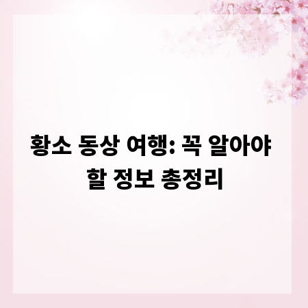 황소 동상 여행: 꼭 알아야 할 정보 총정리