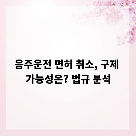 음주운전 면허 취소, 구제 가능성은? 법규 분석