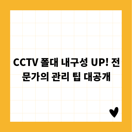 CCTV 폴대 내구성 UP! 전문가의 관리 팁 대공개
