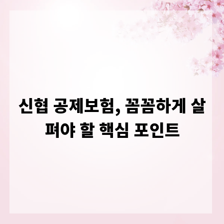 신협 공제보험, 꼼꼼하게 살펴야 할 핵심 포인트