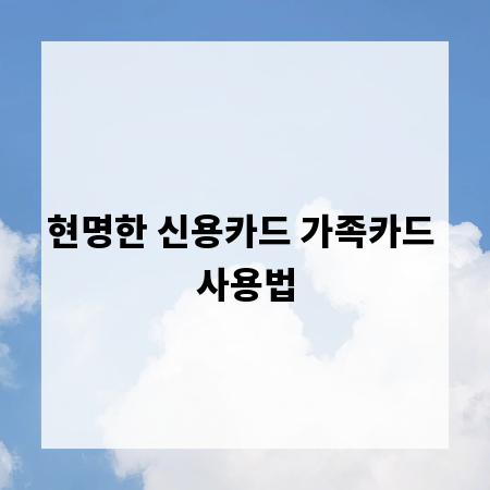 현명한 신용카드 가족카드 사용법