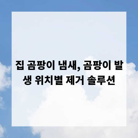집 곰팡이 냄새, 곰팡이 발생 위치별 제거 솔루션