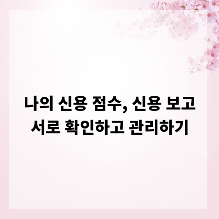 나의 신용 점수, 신용 보고서로 확인하고 관리하기