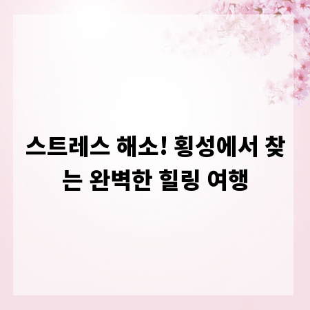 스트레스 해소! 횡성에서 찾는 완벽한 힐링 여행