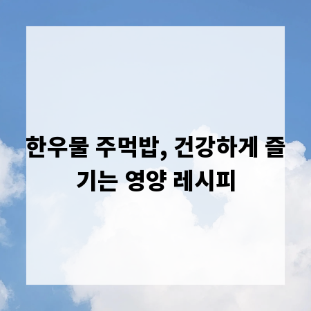 한우물 주먹밥, 건강하게 즐기는 영양 레시피