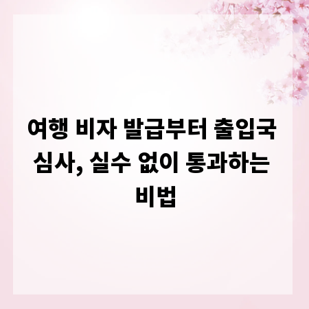 여행 비자 발급부터 출입국 심사, 실수 없이 통과하는 비법