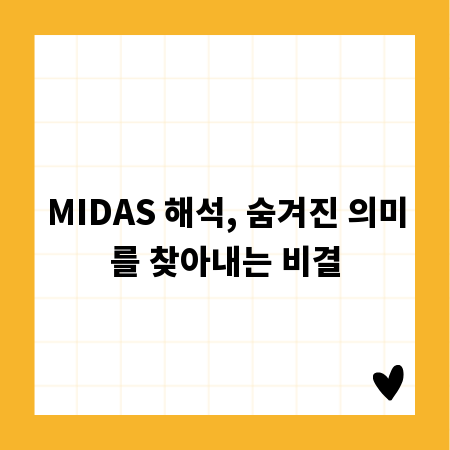 MIDAS 해석, 숨겨진 의미를 찾아내는 비결
