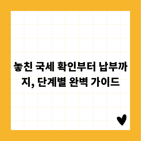 놓친 국세 확인부터 납부까지, 단계별 완벽 가이드