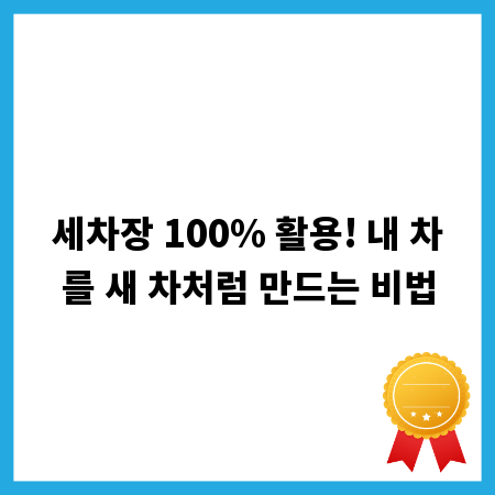 세차장 100% 활용! 내 차를 새 차처럼 만드는 비법