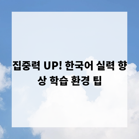 집중력 UP! 한국어 실력 향상 학습 환경 팁