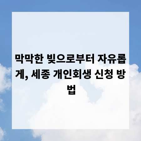 막막한 빚으로부터 자유롭게, 세종 개인회생 신청 방법