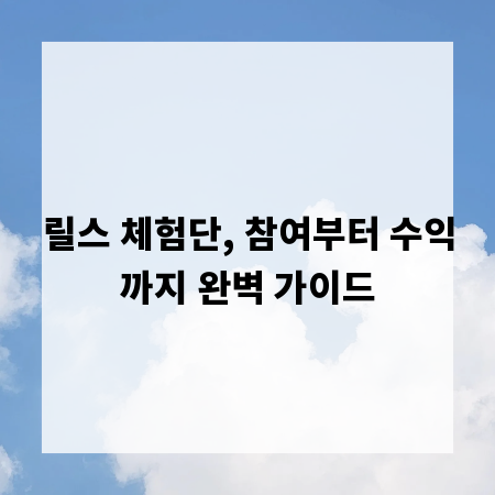 릴스 체험단, 참여부터 수익까지 완벽 가이드