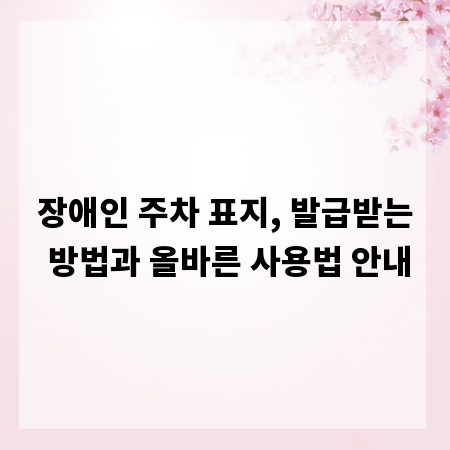 장애인 주차 표지, 발급받는 방법과 올바른 사용법 안내