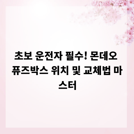 초보 운전자 필수! 몬데오 퓨즈박스 위치 및 교체법 마스터