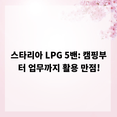 스타리아 LPG 5밴: 캠핑부터 업무까지 활용 만점!